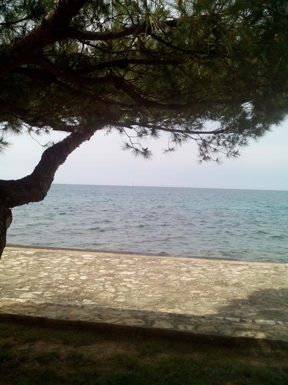 House Monika Apartment Porec Ngoại thất bức ảnh